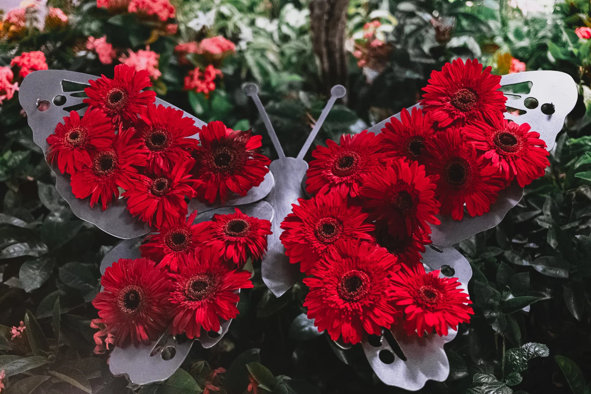 A decorative metal butterfly frame is filled with vibrant red gerbera daisies. The artistic floral arrangement is set against a background of dark green leaves and other blooms.